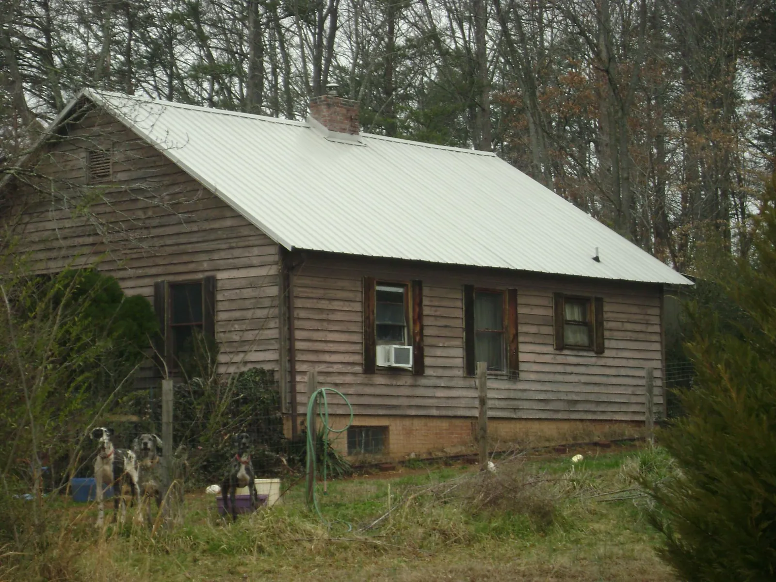 White metal roof on an old wood sided farmhouse, from a Asphalt Shingle Roof Repair job in Silver Plume